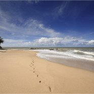 Ecoturismo y playa en Brasil